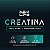 CREATINA NEXLIFE 300G SABORES: SEM SABOR NEXLIFE - Imagem 2