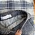 Conjunto Infantil Menino com Calça Camisa e Pullover Roana - Imagem 5