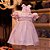 Vestido Infantil Rosa Luxo Mimos e Rendas Roana - Imagem 1