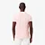 Camiseta Masc Básica de Algodão Pima Rosa Claro P- Lacoste - Imagem 2