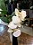 Arranjo mini orquídea branca em vaso solitário preto - Imagem 2