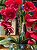 Arranjo de orquídeas vermelhas - Imagem 2
