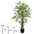 BAMBOO AUSTRALIANO C/POTE (VERDE) 1,6m - Imagem 1
