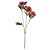 HELEBOROS REAL TOQUE (BEAUTY OUTONO) 65cm - Imagem 1