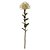 PROTEA (CREME OUTONO) 60cm - Imagem 1