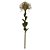 PROTEA (PALHA) 60cm - Imagem 1