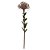 PROTEA (MARSALA) 60cm - Imagem 1