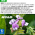 Hold stoller - Imagem 4