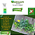 500ml Original Neem Garden Citromax Mata Inseto 100% Natural Neem - Imagem 4