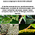 500ml Original Neem Garden Citromax Mata Inseto 100% Natural Neem - Imagem 3