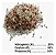 Adubo Fertilizante N pk 20-00-20 Fracionado 500gr P/  Gramados, Hortaliças, Citrus Cobertura - Imagem 2