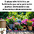 Adubo Fertilizante 5kg - Npk 10 10 10 Granulado Uso Geral - Imagem 7