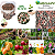 Adubo Fertilizante NPK 10-10-10 - 2kg - Frutíferas + Brinde - Imagem 5