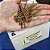 Parafuso Chipboard Cab. Chata 4,0x60mm Patta Premium 500un. - Imagem 8
