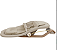 Cadeira de Descanso Maxi-Cosi Dove Pro Elegance Beige - Imagem 5