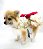 VESTIDO PARA CACHORRO GLAMOUR NUVEM - Imagem 2