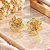 Brinco Banhado a Ouro Flor De 3 Cores Vazada Bijou Art - Imagem 1