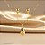 Conjunto Banhado a Ouro De Gota Lisa Bijou Art - Imagem 1
