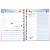 Agenda Planner Daisy M7 Esp Tilibra 339440 - Imagem 6
