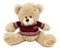 Pelúcia Urso Teddy com Roupa de Lã 28 cm Sunn Toys - Imagem 4