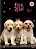 Caderno Capa Dura Brochurão My Pets 80fls SD - Imagem 4