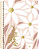 Caderno Capa Dura Espiral 1/4 Mulher 80fls SD - Imagem 5