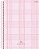 Cad Cd 10x1 Rosa Rose 160fls Sd 10226 - Imagem 3