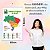 Banner Mapa do Brasil Estados e Capitais Educativo Pedagógico Escolar Didático 60cmx100cm Impressão Digital Lona 280g - Imagem 2