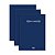 Kit C/3 Livros Conta Corrente 1/4 100f Tilibra 120162 - Imagem 1