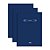 Kit C/3 Livros De Ponto 1/4 160f Tilibra 120855 - Imagem 1