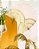 Leques Decorativos (Par)| Folha de Carnaúba - Imagem 6