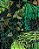 Painel Green Leaves | 50 cm X 120 cm - Imagem 6