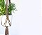 Hanger One - Imagem 9