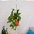 Hanger Summer - Imagem 2