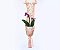 Mini Wall Hanger Candy Colors - Imagem 5