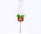 Hanger Rowa'u - Imagem 3