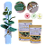 Kit 6 Ou 12 Porta Guardanapo Tropical Eucalipto De Folhas Verdes - UN / 6 - Imagem 1