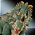 Boneco E Personagem Jw Hammond Sinoceratops - Imagem 5