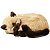 Perfect Petzzz Filhote Gato Siamês Caramelo - Imagem 2