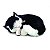 Perfect Petzzz Filhote Gato Black E White Shorthair - Imagem 2