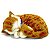 Perfect Petzzz Filhote Gato Orange Tabby - Imagem 2