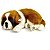 Perfect Petzzz Filhote Cachorro São Bernardo - Imagem 2