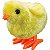 Brinquedo Para Bebê Animal Pintinho A Corda - Imagem 5