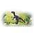 Dinossauro Dino Na Jaula Com Movimento - Imagem 3