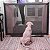 Porta Tela Protetora Grade Bebes Cães Gatos Pet 182 X 76 Cm - Imagem 5