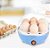 Cozedor Eletrico A Vapor Ovos Egg Cooker Cor:azul - Imagem 3