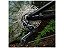 Cassete 12v Cs-M6100 10/51d - Imagem 4