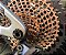 Corrente Sram Pc-Xx1 Eagle 126 Elos 12 Velocidades Bronze - Imagem 3