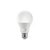 Lâmpada LED Bulbo A55 4,8W BIV 6500K - Imagem 1