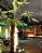 Balizador LED de Solo 1w Bivolt Branco Quente 3000K - Cbc - Imagem 6